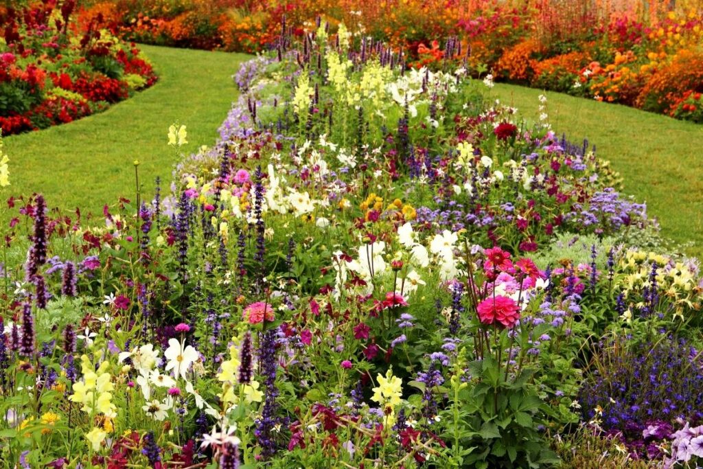 The Perfect Cottage Garden In 7 Simple Steps